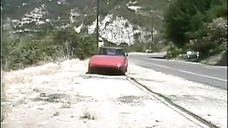 Leather Harness &amp; Steel Rivets