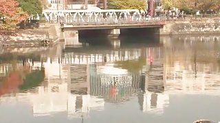 Beautiful Reverse Nampa