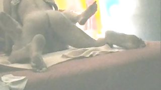 Samenablau 2