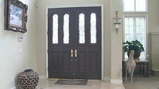 A lusty pussy visitation