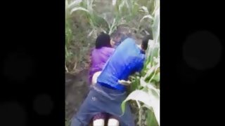 arab girl step-brother