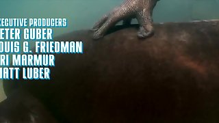 Into the Blue (2005) Jessica Alba