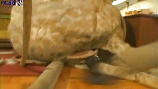 The laundry didn'_t get done