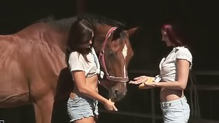 Two slim and pretty girls have lesbian sex on a lawn