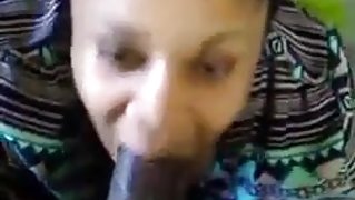 MILKING BBC DRY
