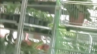 garden centre voyeur upskirt vagina in  its full glory on view