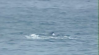 Exotic pornstars Marylin Star and J.R. Carrington in best rimming, big tits porn video