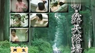 JPN vintage 1499