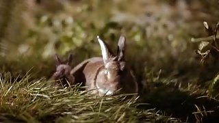 Patricia Arquette in Human Nature (2002)