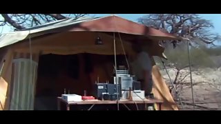 The Gods Must Be Crazy