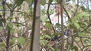 Pee Drinking Camp
